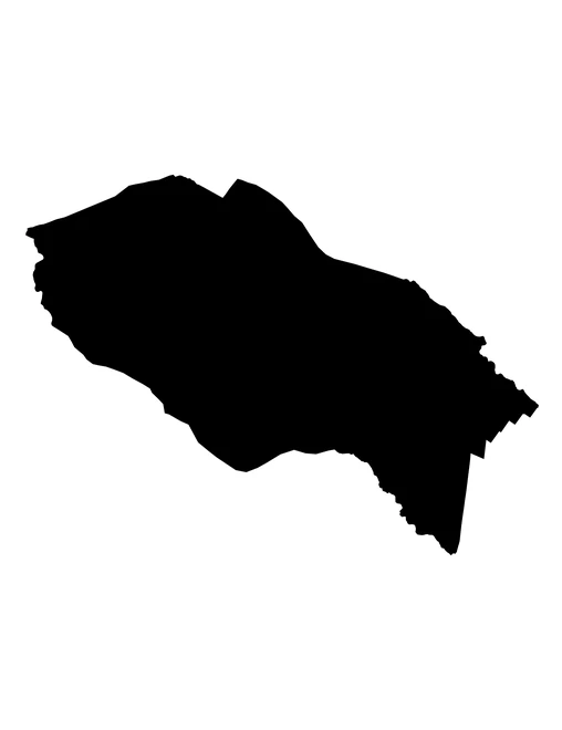 Figura con la forma del municipios de Nealtican