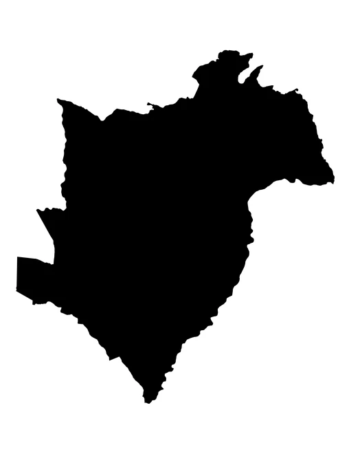 Figura con la forma del municipios de Pahuatlán