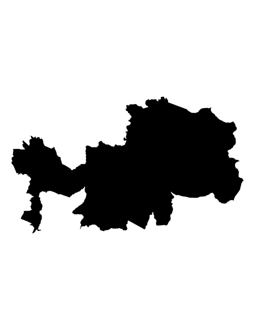 Figura con la forma del municipios de Albino Zertuche