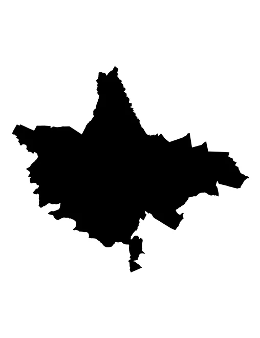 Figura con la forma del municipios de Palmar de Bravo