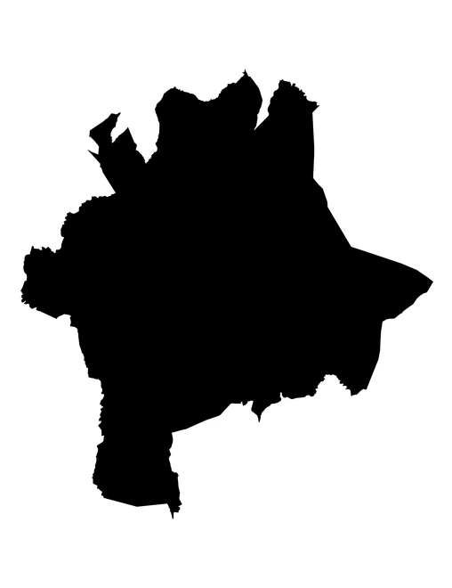 Figura con la forma del municipios de Petlalcingo