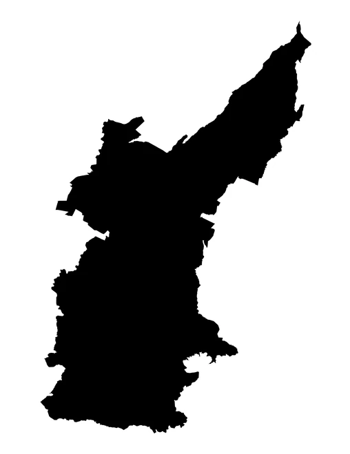 Figura con la forma del municipios de Puebla