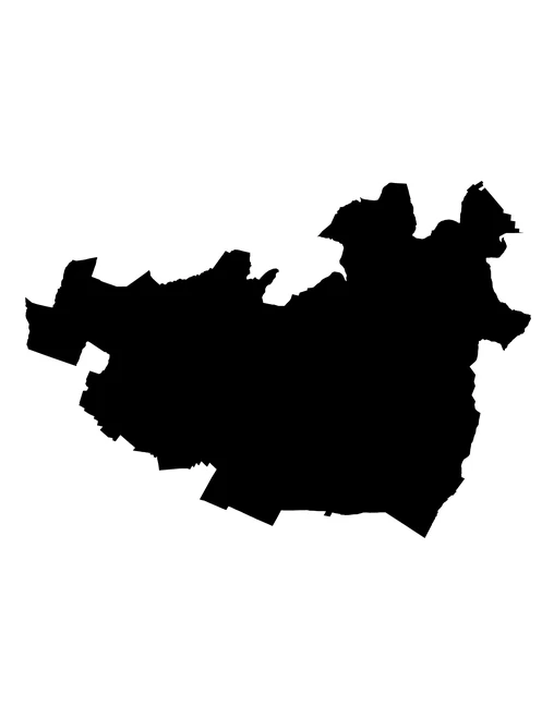 Figura con la forma del municipios de Quecholac