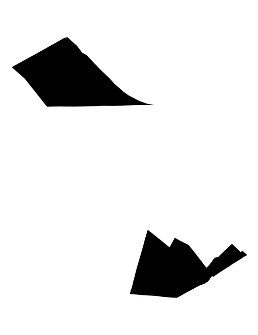 Figura con la forma del municipios de Rafael Lara Grajales