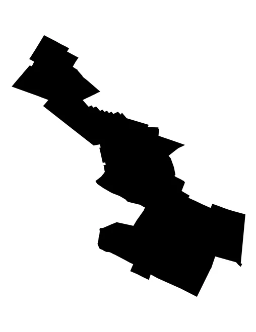 Figura con la forma del municipios de Los Reyes de Juárez