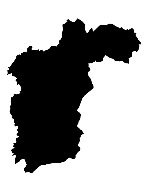 Figura con la forma del municipios de San Diego la Mesa Tochimiltzingo