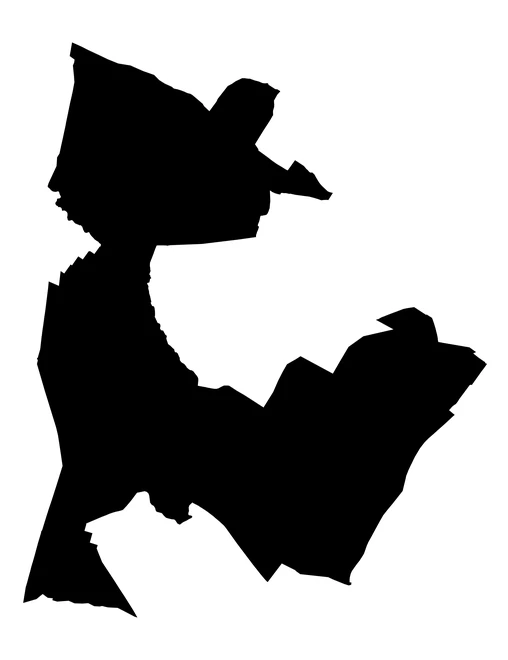 Figura con la forma del municipios de San Jerónimo Tecuanipan