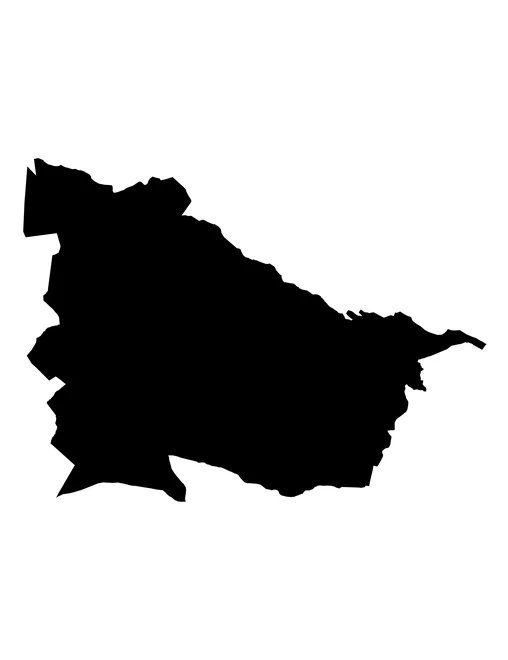 Figura con la forma del municipios de San Nicolás de los Ranchos