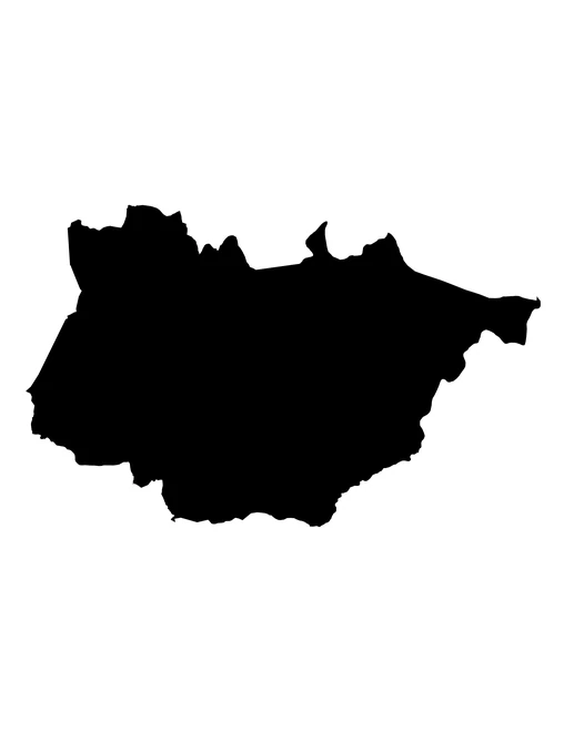 Figura con la forma del municipios de Amixtlán