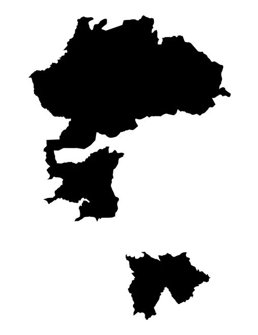 Figura con la forma del municipios de Tecomatlán