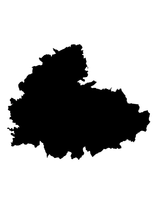 Figura con la forma del municipios de Tehuitzingo