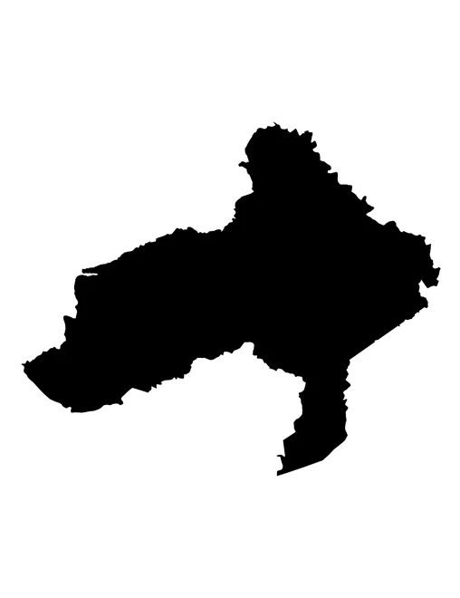 Figura con la forma del municipios de Teotlalco