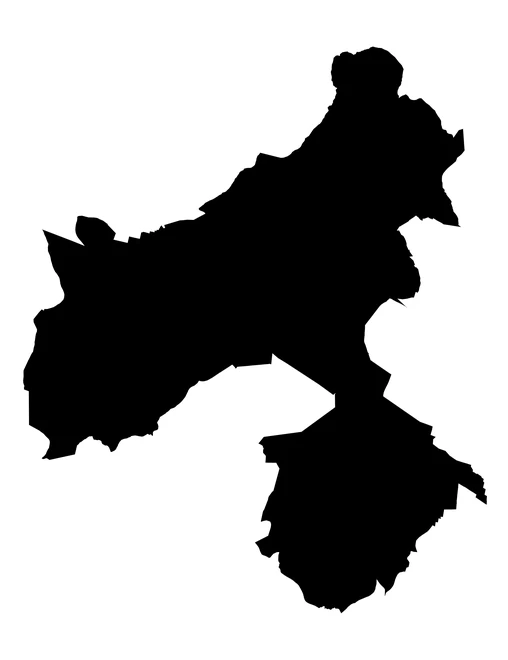 Figura con la forma del municipios de Tepanco de López