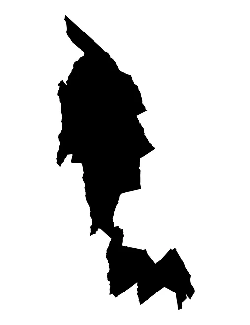 Figura con la forma del municipios de Tepatlaxco de Hidalgo