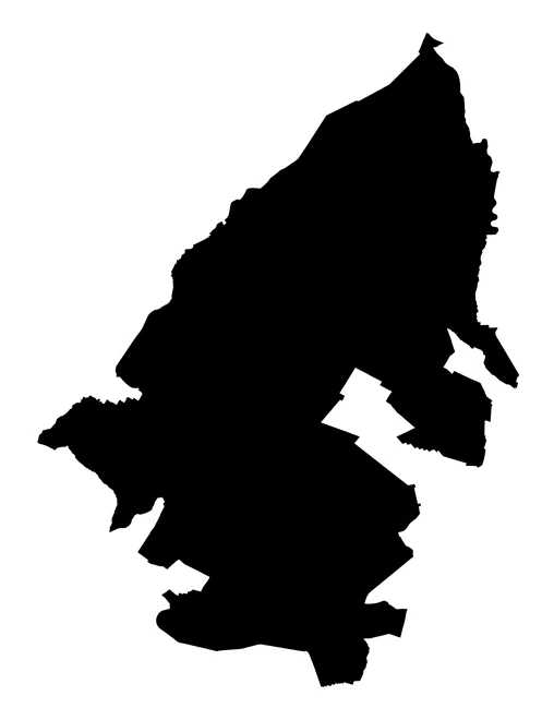 Figura con la forma del municipios de Tepeaca