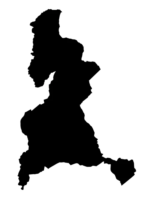 Figura con la forma del municipios de Tepemaxalco