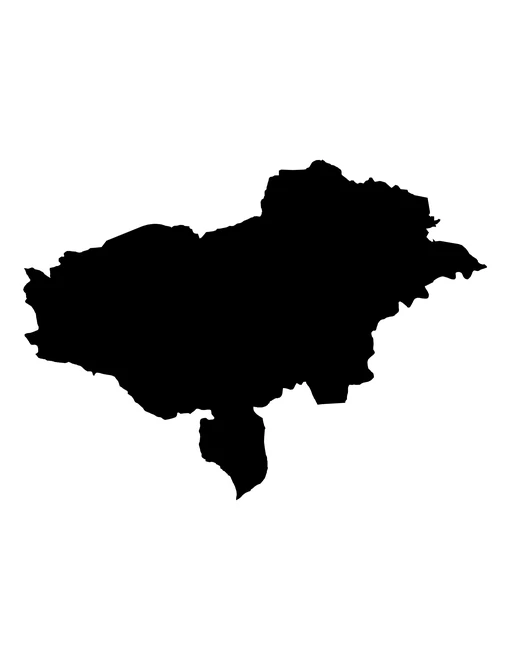 Figura con la forma del municipios de Tepetzintla