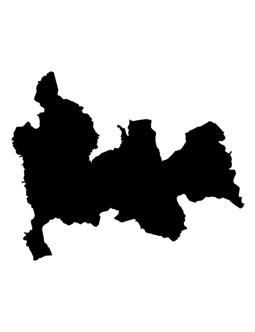 Figura con la forma del municipios de Tepexco