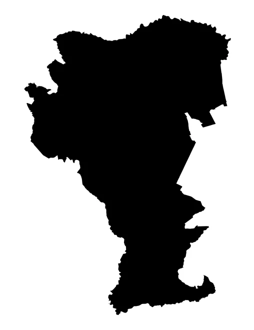 Figura con la forma del municipios de Tepexi de Rodríguez