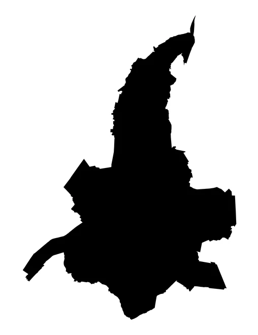 Figura con la forma del municipios de Tepeyahualco