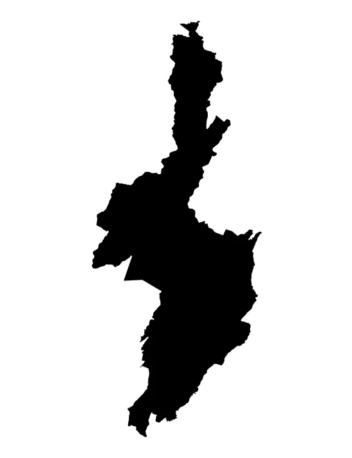 Figura con la forma del municipios de Teziutlán