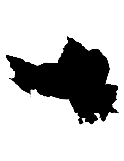 Figura con la forma del municipios de Tianguismanalco