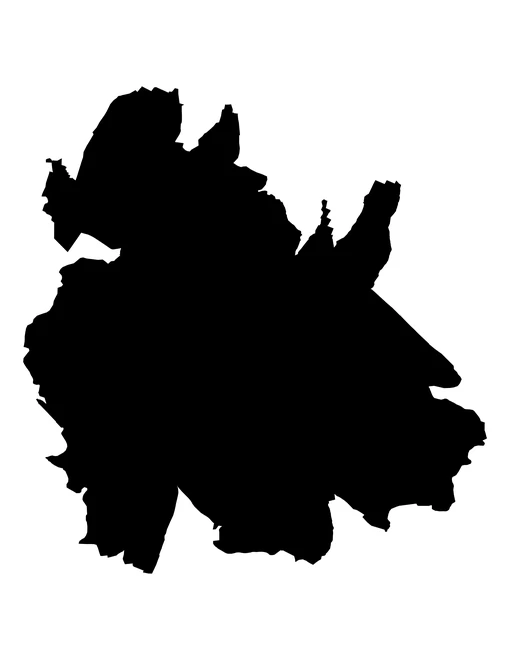 Figura con la forma del municipios de Tlapanalá