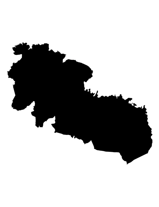 Figura con la forma del municipios de Tzicatlacoyan