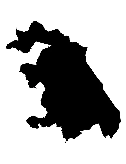 Figura con la forma del municipios de Vicente Guerrero