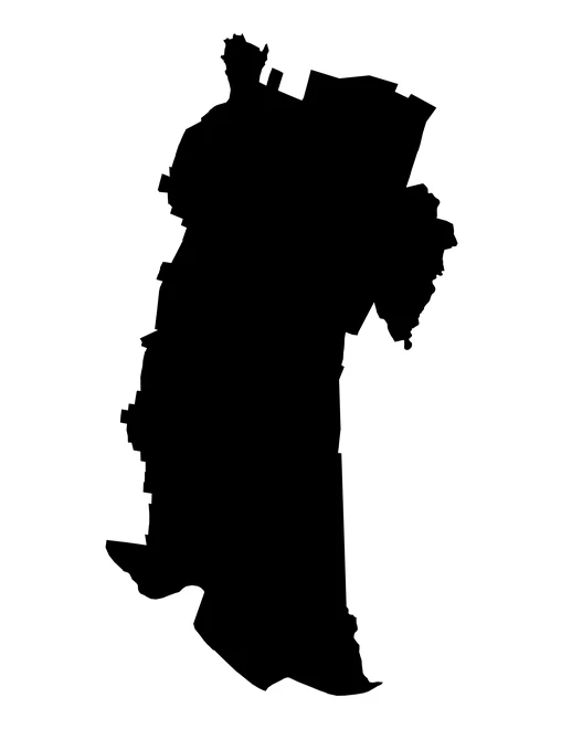 Figura con la forma del municipios de Zaragoza