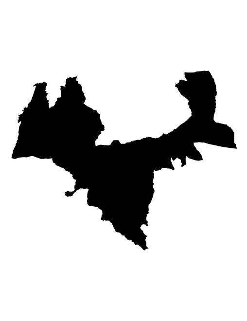 Figura con la forma del municipios de Atzitzihuacán