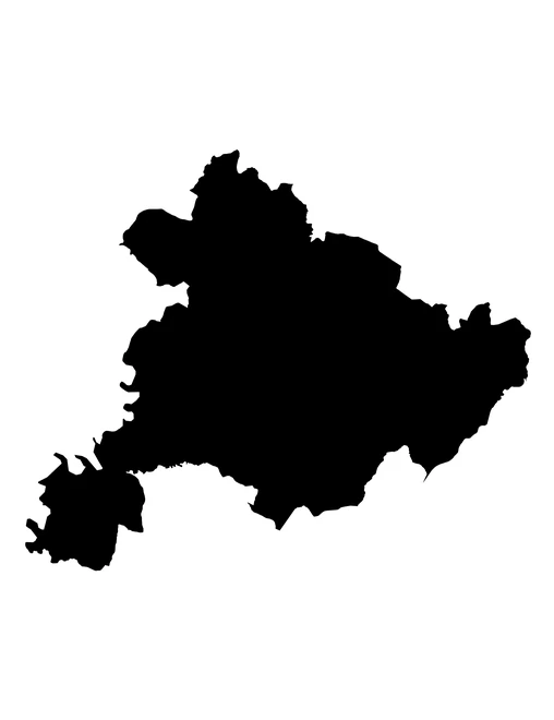 Figura con la forma del municipios de Coatzingo