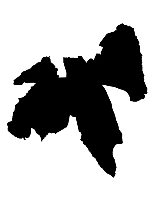 Figura con la forma del municipios de Coyotepec