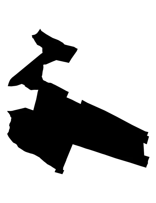 Figura con la forma del municipios de Cuapiaxtla de Madero