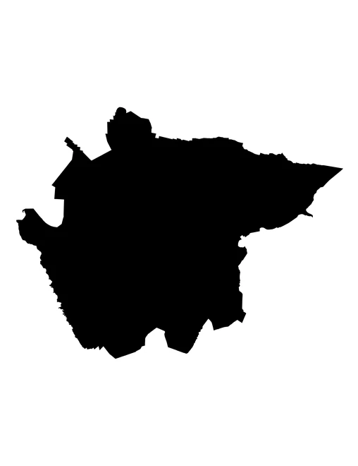 Figura con la forma del municipios de Chalchicomula de Sesma