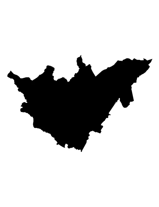 Figura con la forma del municipios de Chinantla