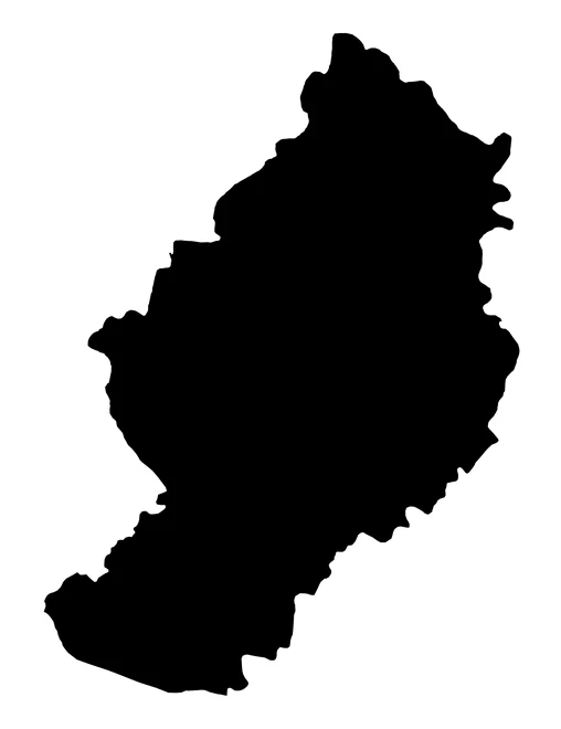 Figura con la forma del municipios de Hermenegildo Galeana