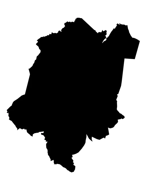 Figura con la forma del municipios de Ahuazotepec