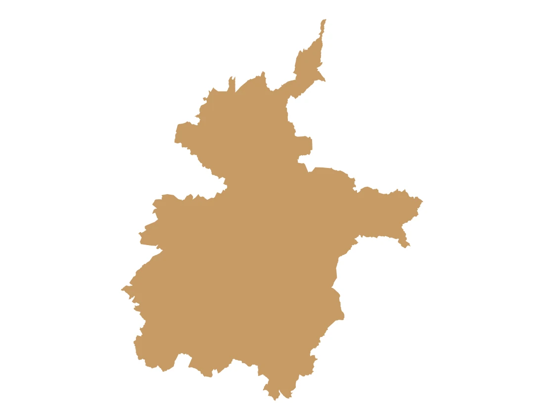 Forma con la figura de la macrorregión Valle de Serdán