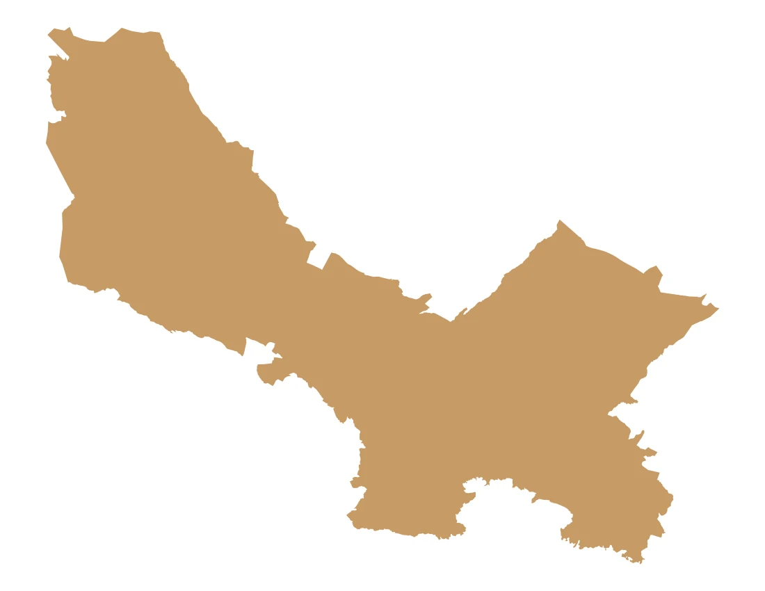 Forma con la figura de la macrorregión Angélopolis