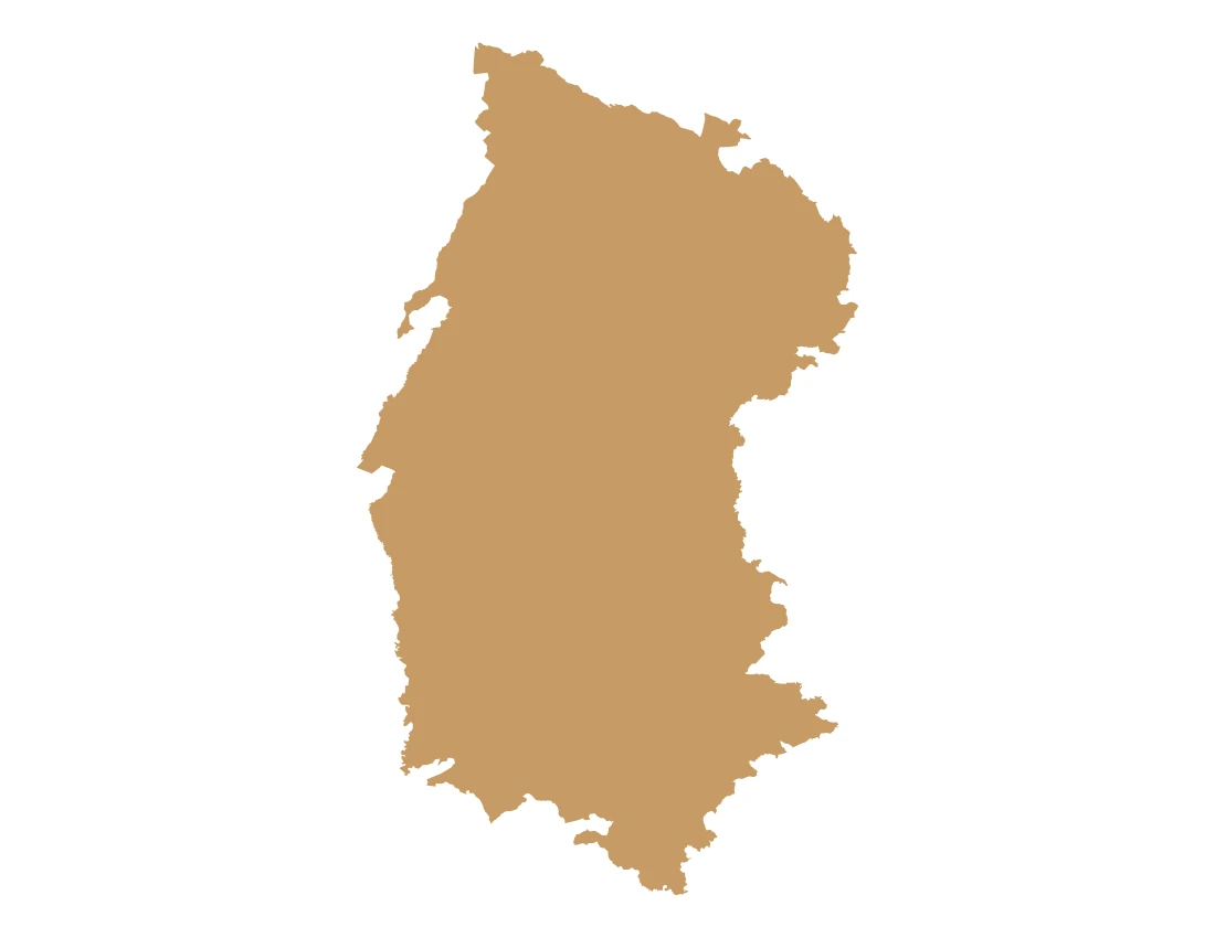 Forma con la figura de la macrorregión Valle de Atlixco y Matamoros