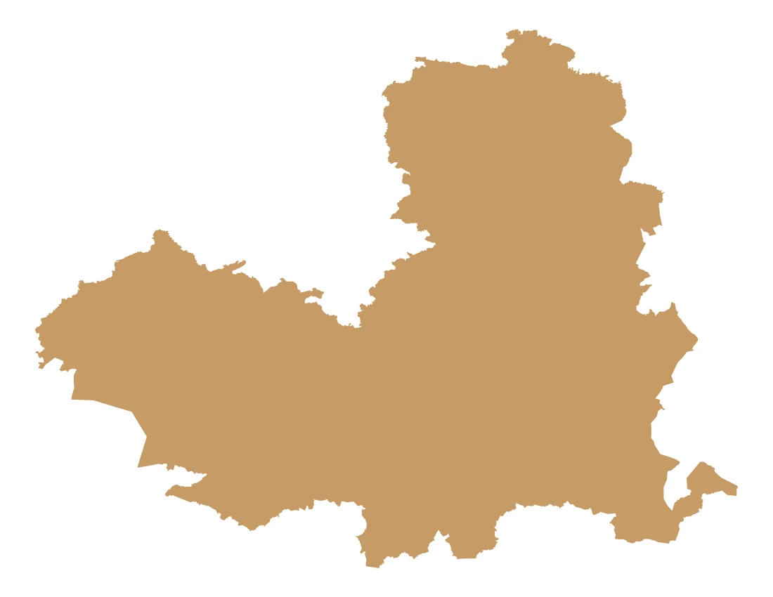 Forma con la figura de la macrorregión Mixteca