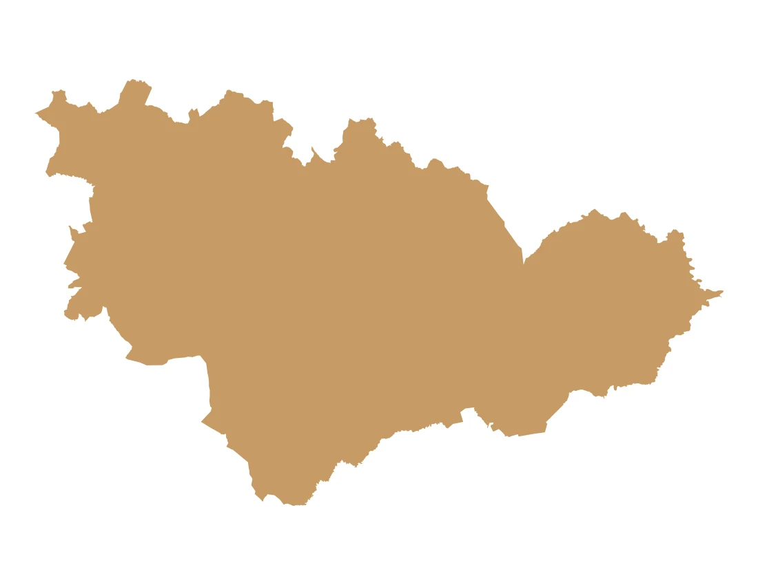 Forma con la figura de la macrorregión Tehuacán y Sierra Negra