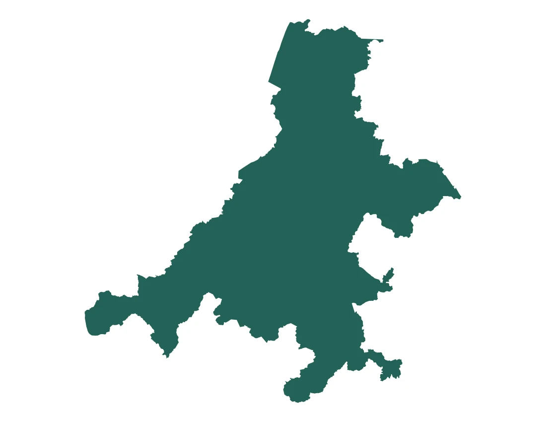 Forma con la figura de la microrregión Xicotepec