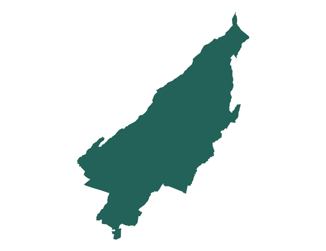 Forma con la figura de la microrregión Puebla