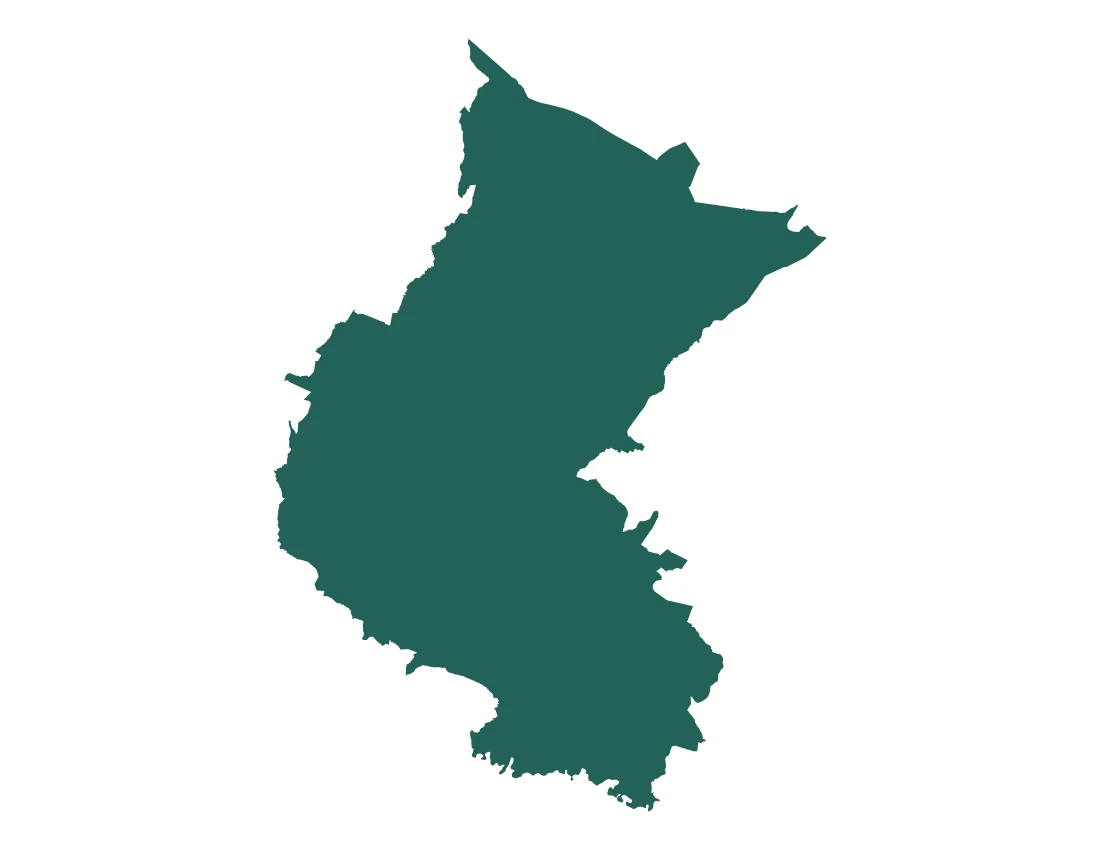 Forma con la figura de la microrregión Amozoc