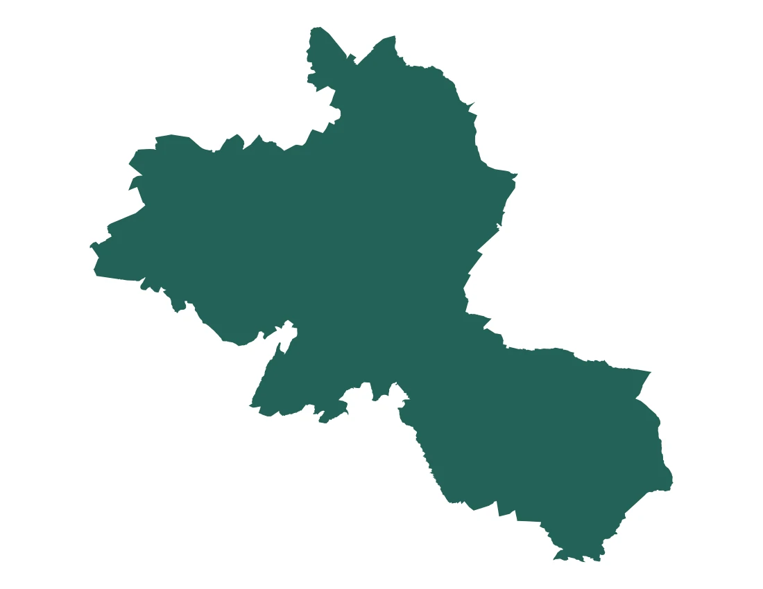 Forma con la figura de la microrregión Ciudad Serdán