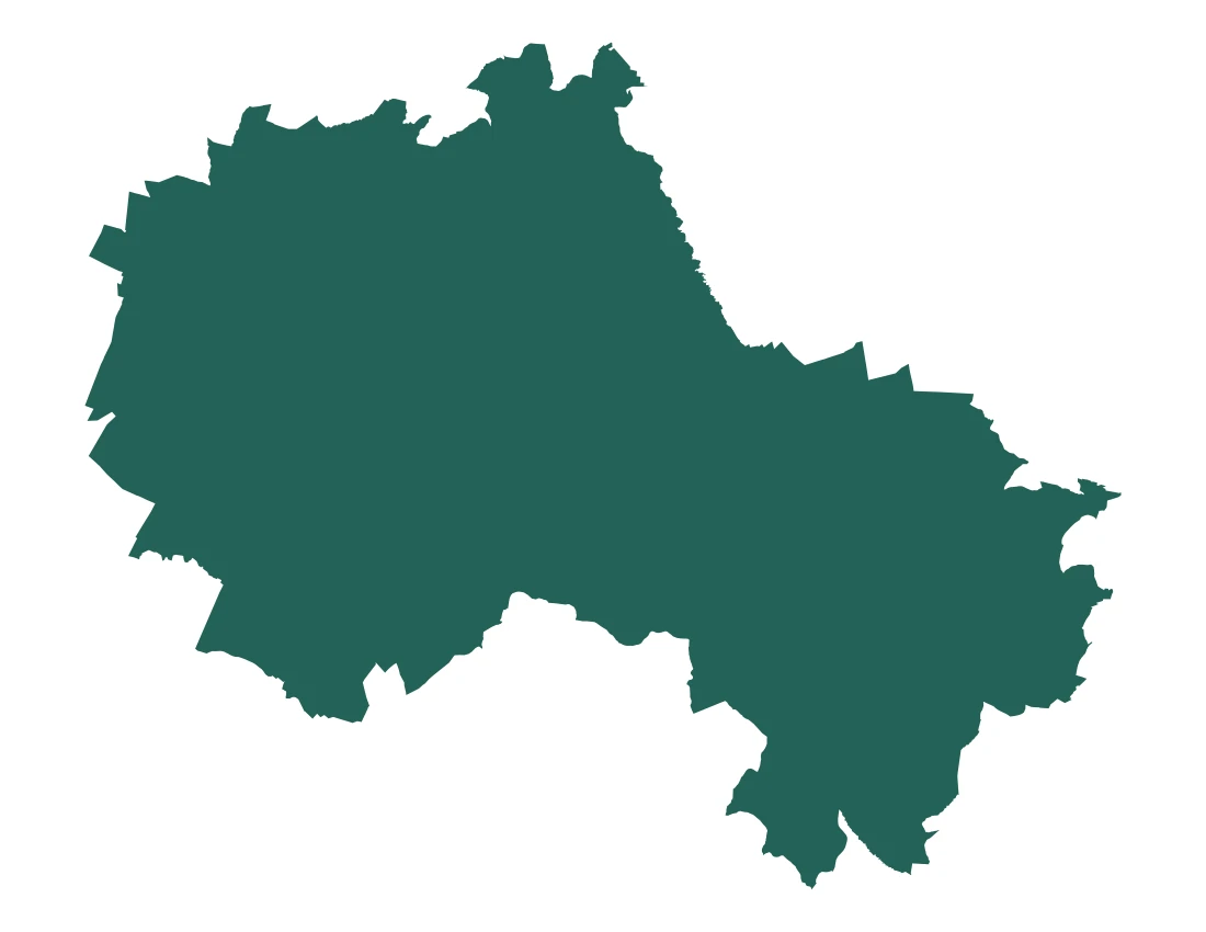 Forma con la figura de la microrregión Tecamachalco