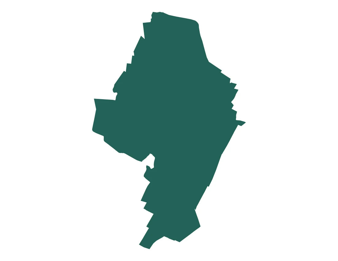 Forma con la figura de la microrregión Puebla