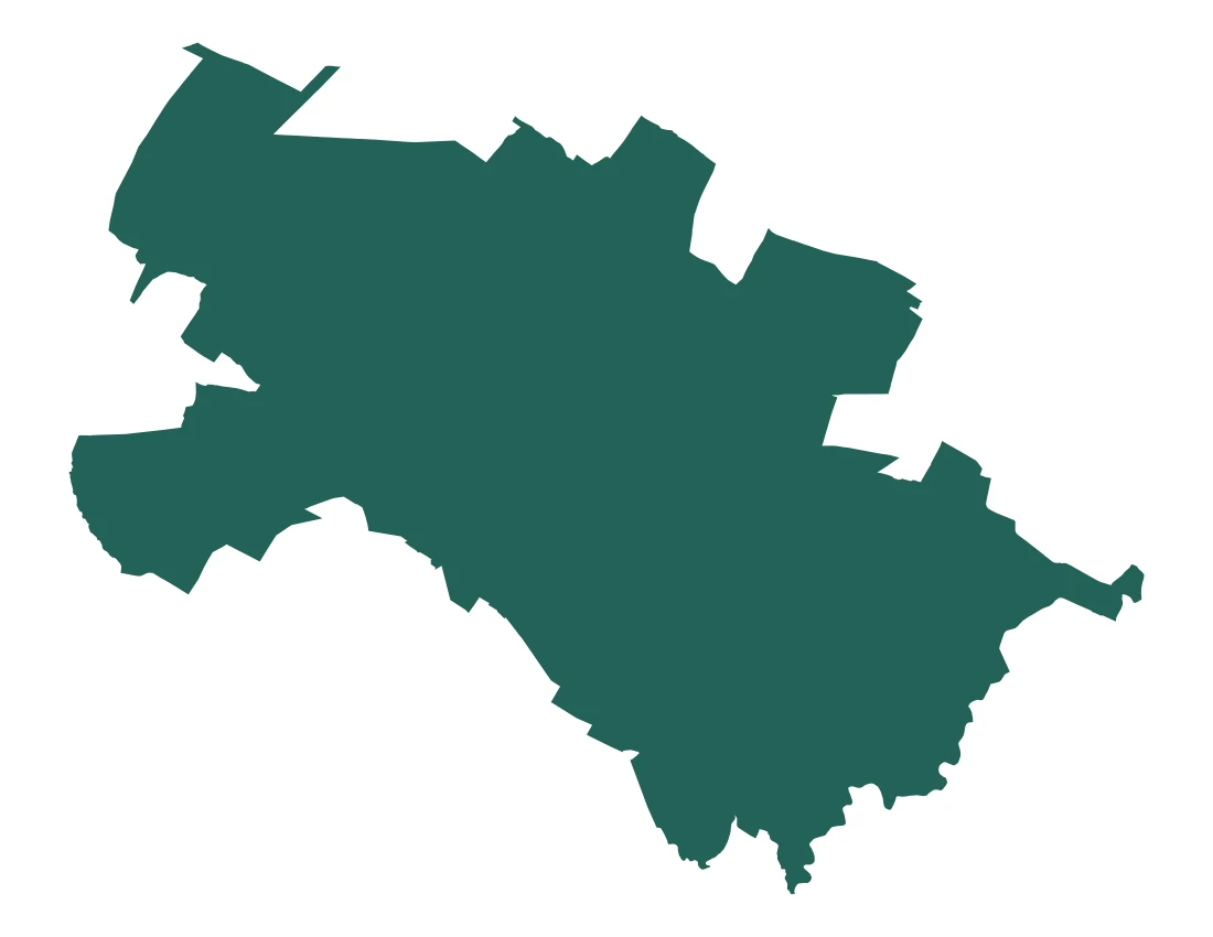 Forma con la figura de la microrregión Cholula